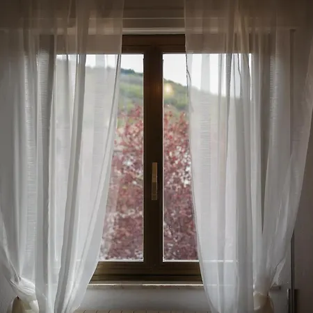 Casa Vicino Hotel 3*